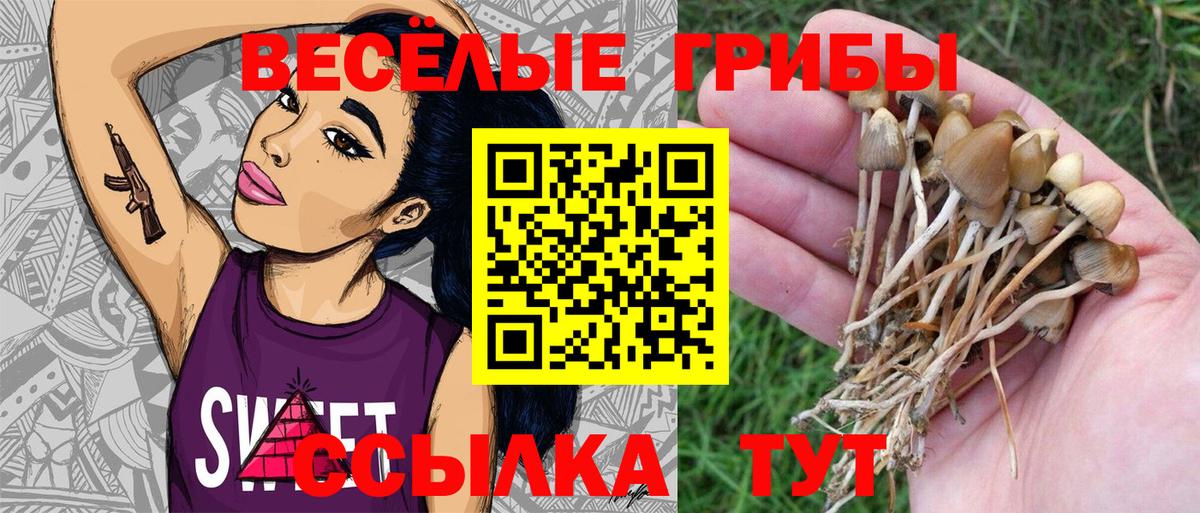 Губкинский  хочу   Вход с VPN  Галлюциногенные грибы прущие грибы  Галлюциногенные грибы ЛСД 