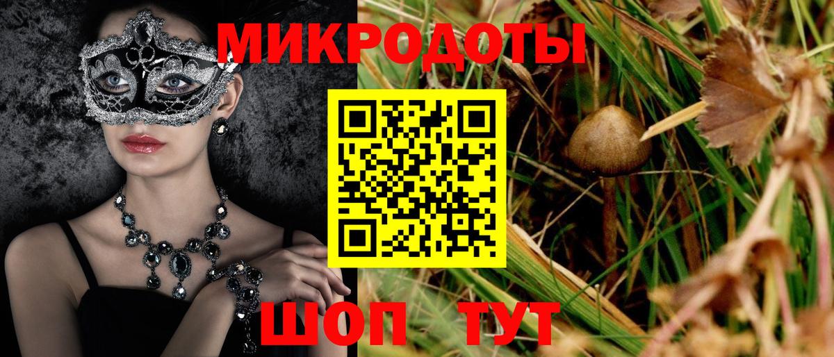 Меф Губкинский